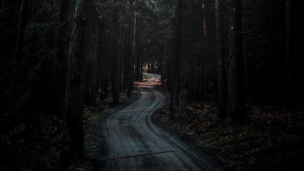 森林 道路 蜿蜒 黑暗 自然 4k壁纸 3840x2160