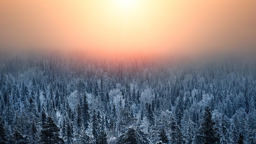 森林 日落 雾霾 雪 冬天 风景 4k壁纸 3840x2160