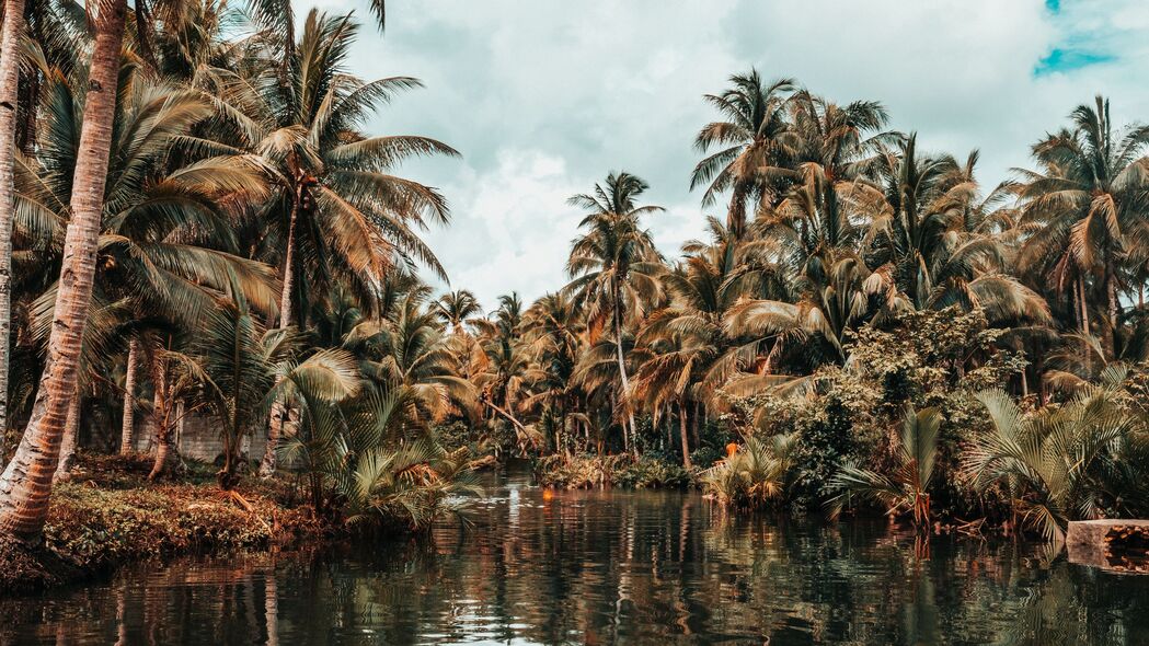 河流 棕榈树 热带 自然 风景 4k壁纸 3840x2160
