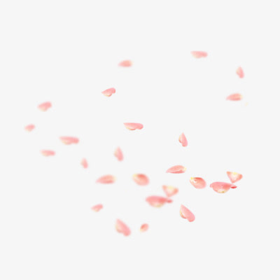 粉红色花瓣png矢量素材