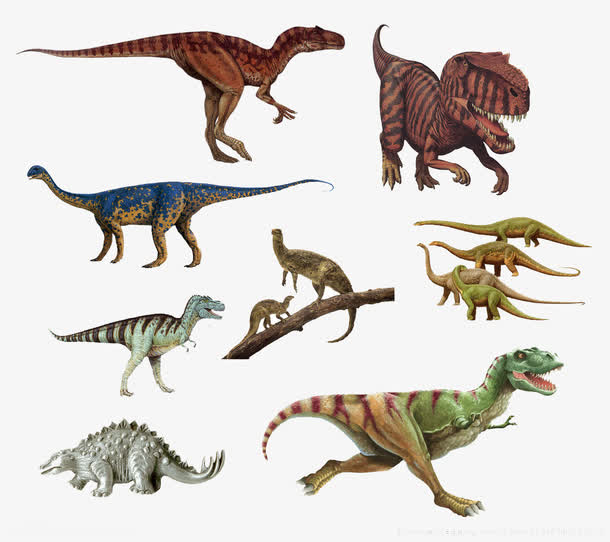 各种恐龙