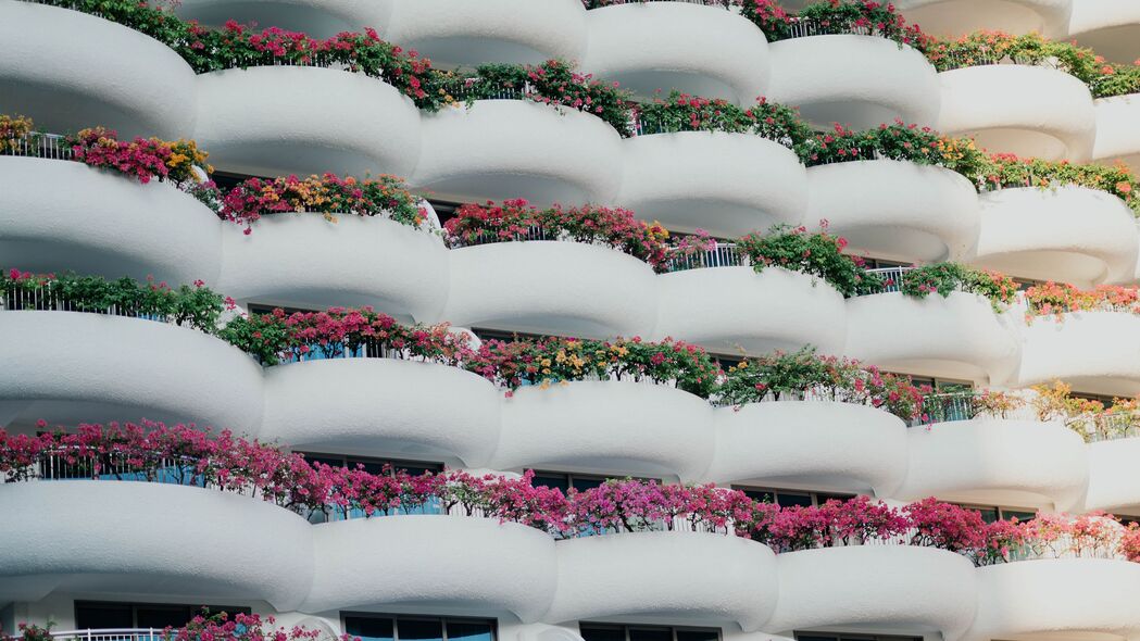 建筑 建筑 阳台 白色 花朵 4k壁纸 3840x2160