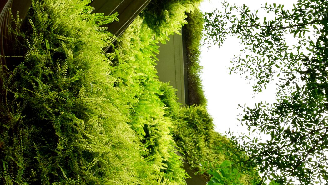 建筑 蕨类植物 灌木 绿色 4k壁纸 3840x2160
