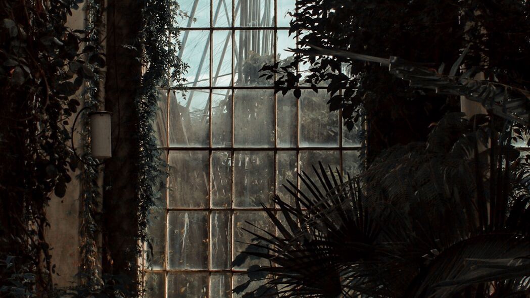 温室 窗户 深色 植物 房间 4k壁纸 3840x2160