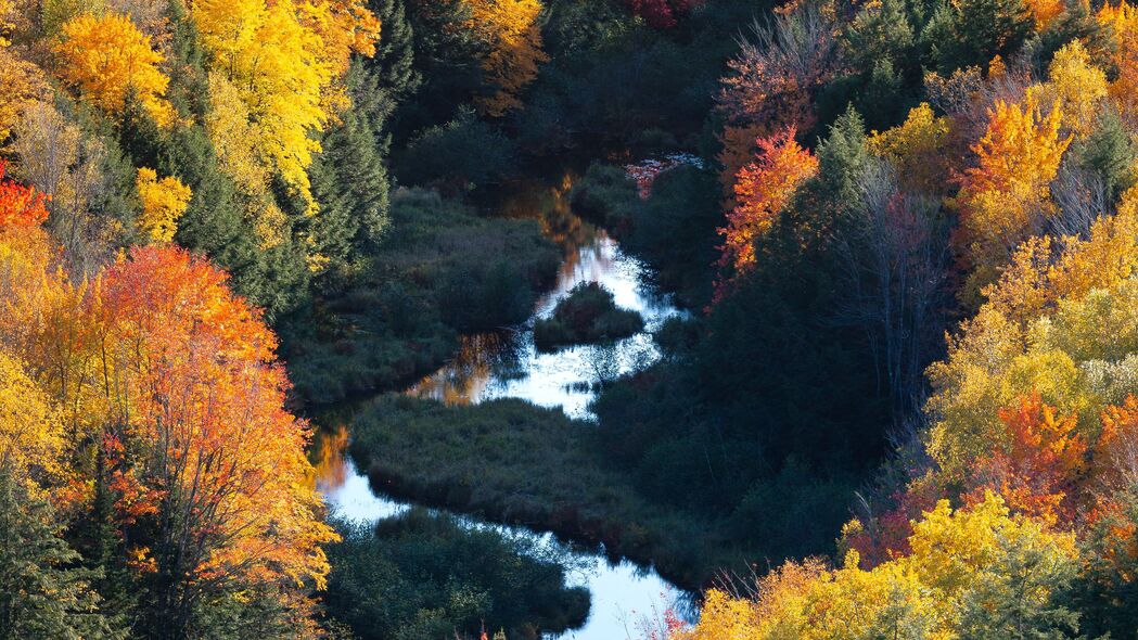 森林 河流 鸟瞰图 秋天 树木 彩色 4k壁纸 3840x2160