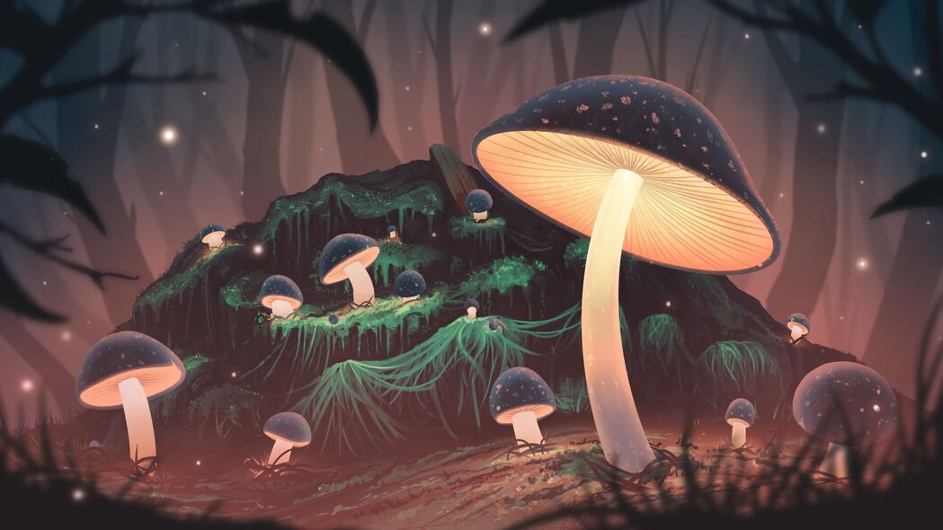 3840x2160 蘑菇 辉光 光 森林 艺术壁纸 背景
