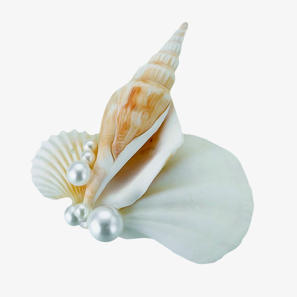 海螺和珍珠