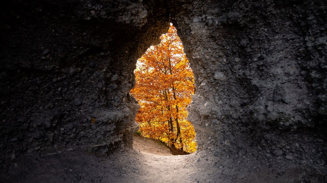 洞穴 树木 黄色 秋天 自然 4k壁纸 3840x2160