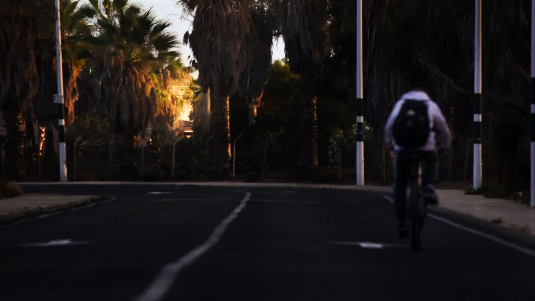 道路 自行车 棕榈树 沥青 转向 4k壁纸 3840x2160