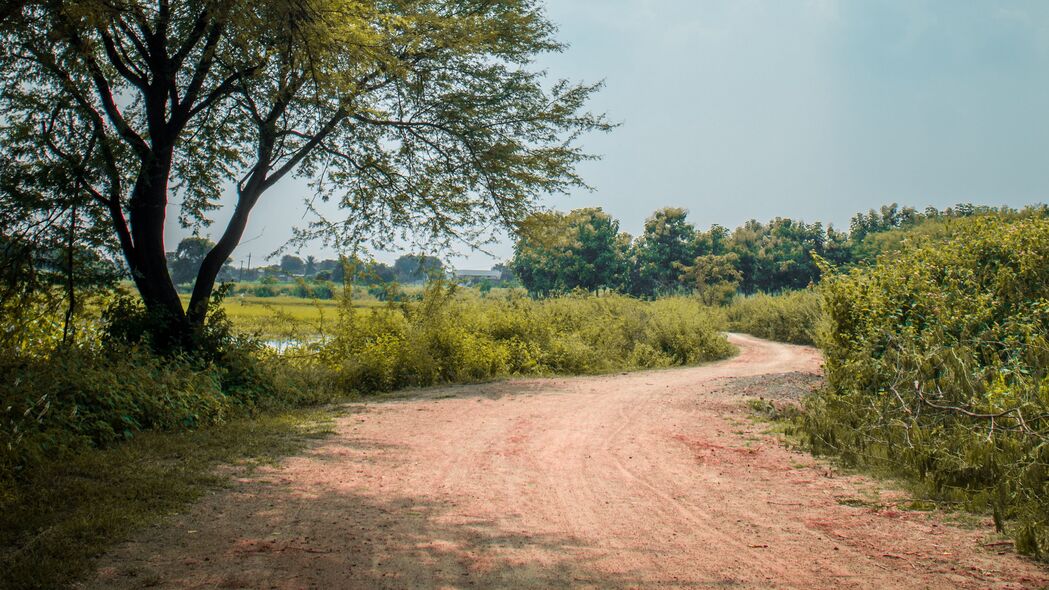 道路转弯处的树木与灌木，自然美景4K高清壁纸3840x2160下载