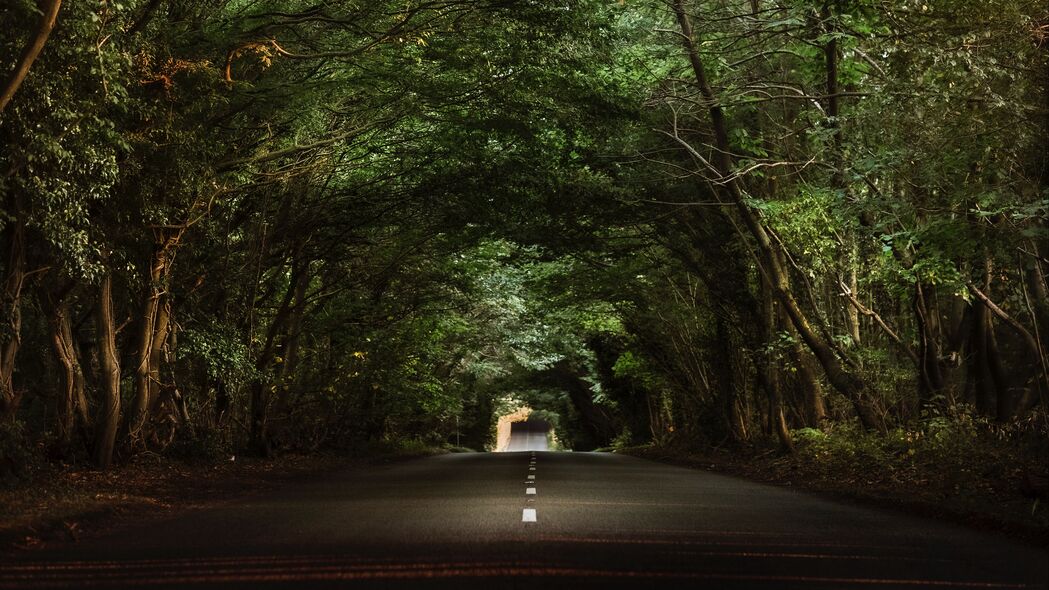 道路树木隧道之景，高清4K壁纸，3840x2160分辨率，自然之美尽收眼底！