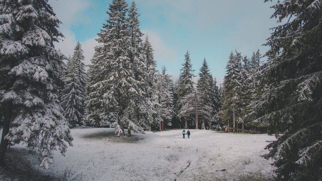 森林 树木 人 雪 冬季 4k壁纸 3840x2160