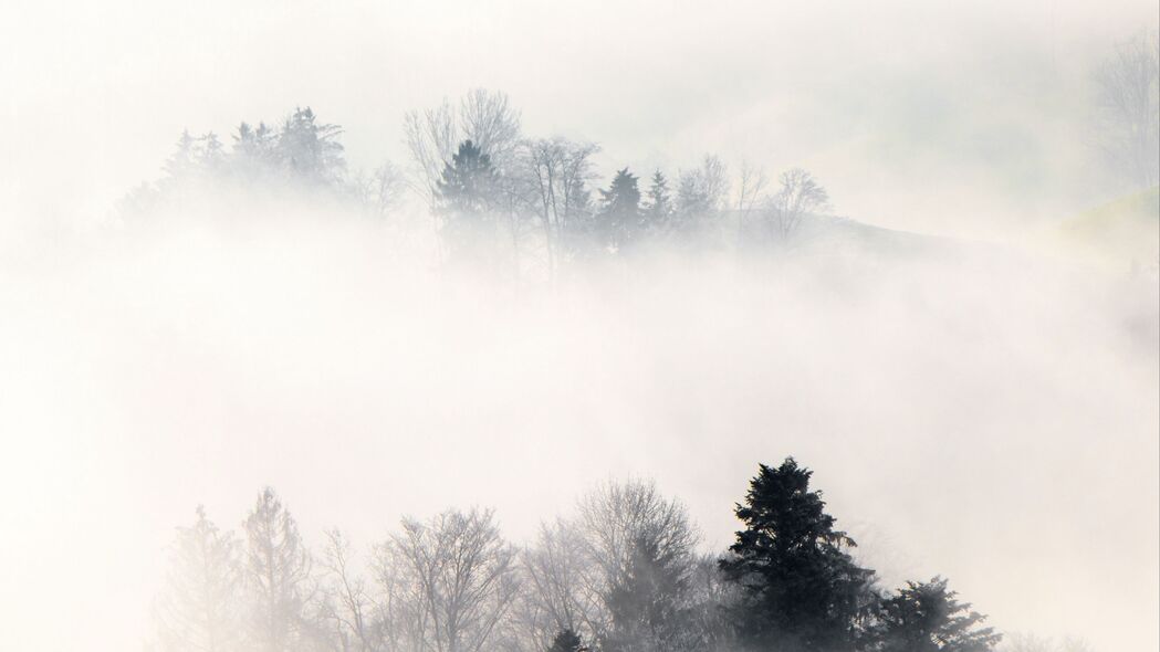 雾 树木 山丘 薄雾 风景 4k壁纸 3840x2160