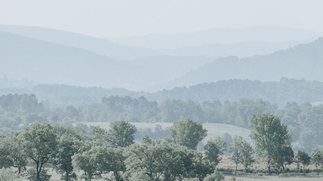 山丘 树木 雾 地平线 风景 4k壁纸 3840x2160