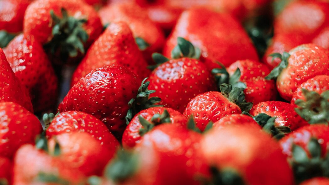 草莓 浆果 红色 成熟 多汁的 4k壁纸 3840x2160
