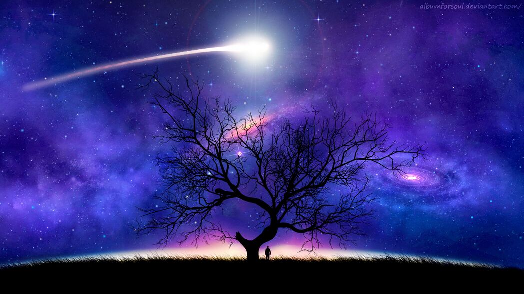 树 剪影 空间 夜晚 星空 彗星 4k壁纸 3840x2160