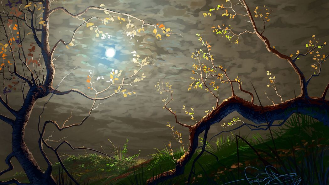 太阳 云 艺术 树枝 树 4k壁纸 3840x2160