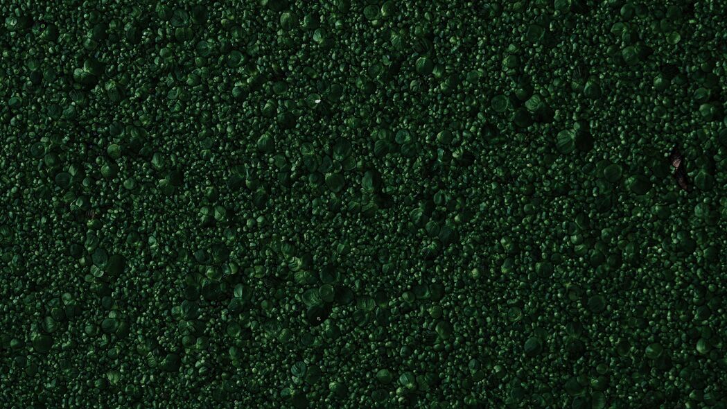 石头 绿色 纹理 表面 4k壁纸 3840x2160