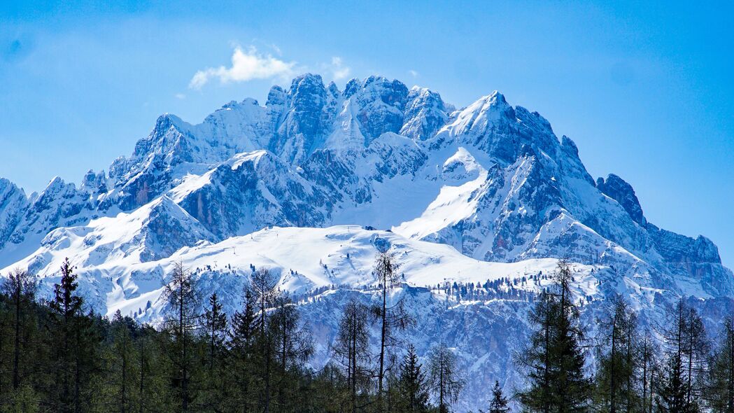 山脉森林雪景4K超清壁纸，顶部雪覆树木，高清3840x2160风景图片下载