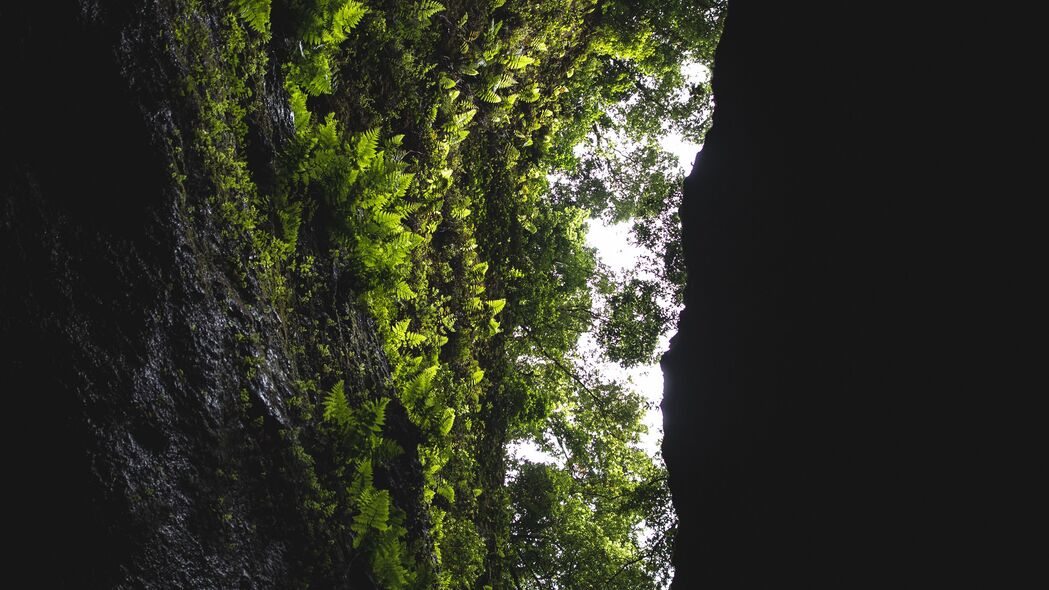 洞穴奇景，岩石植被交织的深色4K高清壁纸，3840x2160分辨率精美下载