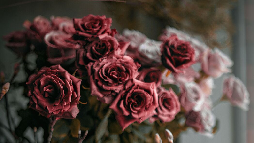 玫瑰 鲜花 花束 红色 粉红色 4k壁纸 3840x2160