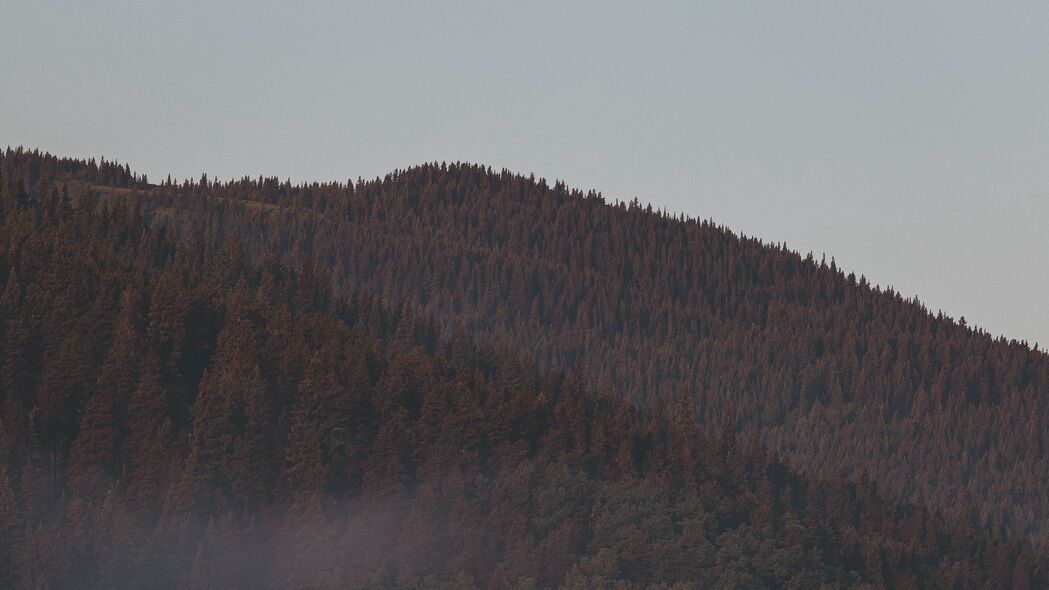 森林 雾 山脉 斜坡 树木 4k壁纸 3840x2160
