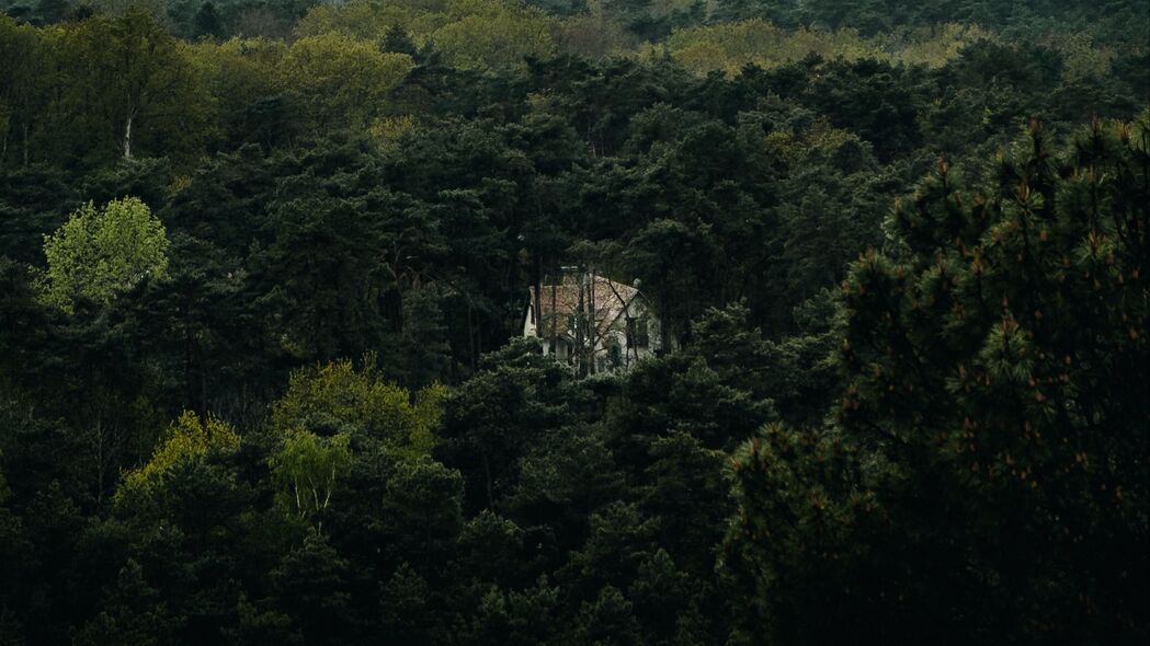 森林 房子 孤独 鸟瞰图 树木 自然 4k壁纸 3840x2160