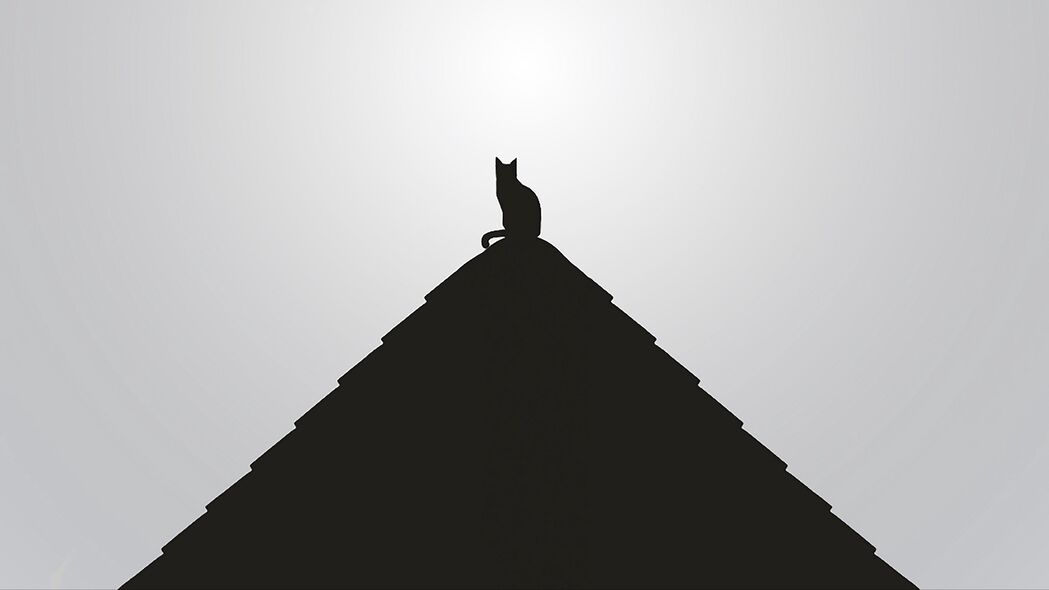 屋顶 猫 黑色 bw 极简主义 4k壁纸 3840x2160
