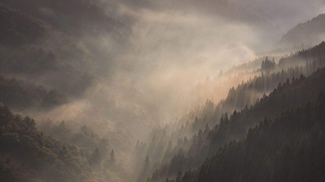 山脉雾绕圣敦森林，绝美4K风景壁纸（3840x2160高清下载）