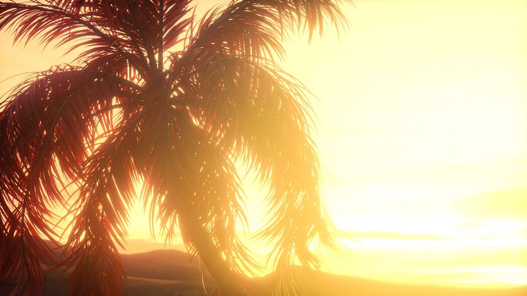 棕榈 树枝 树叶 日落 光线 明亮的 4k壁纸 3840x2160