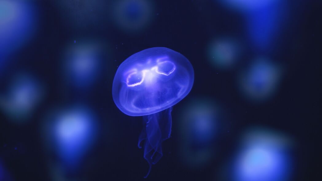 水母 发光 紫色 霓虹灯 海底世界 4k壁纸 3840x2160