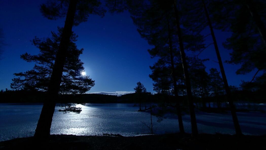 树木 夜晚 湖泊 距离 天空 挪威 4k壁纸 3840x2160