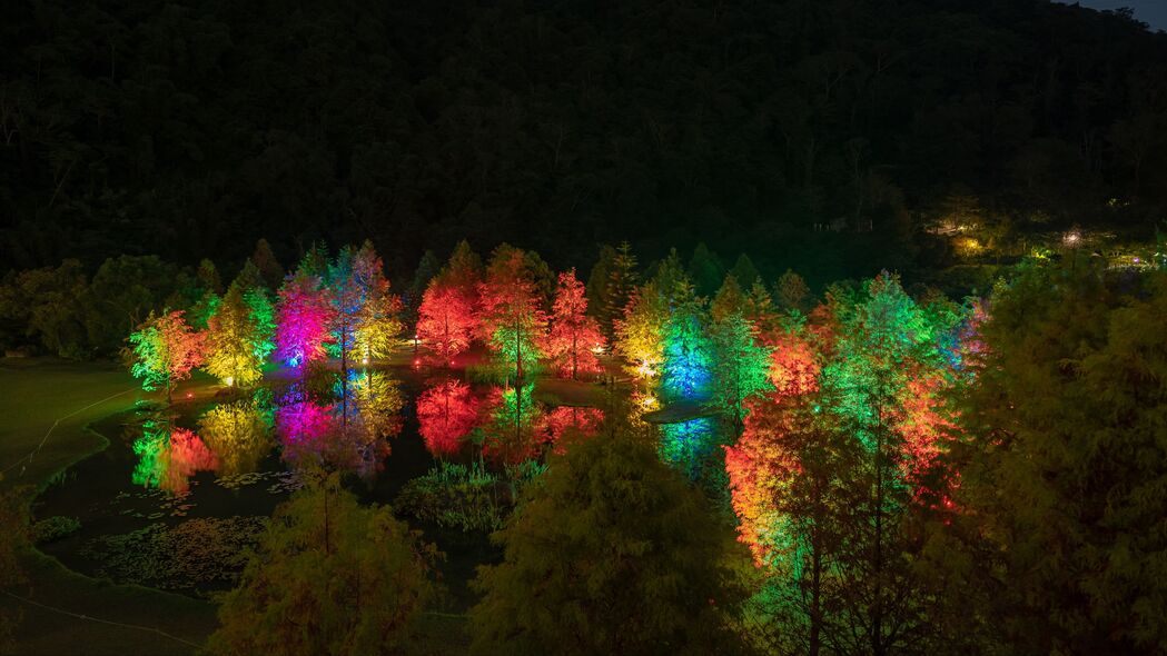 树木 池塘 照明 背光 彩色 夜间 4k壁纸 3840x2160