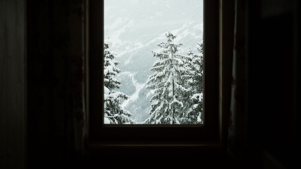 窗户 树木 冬天 雪地 4k壁纸 3840x2160
