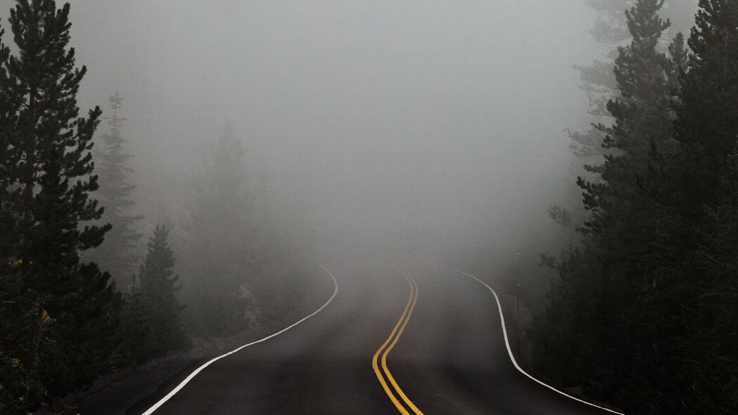 道路 雾 标记 沥青 转弯 树木 4k壁纸 3840x2160