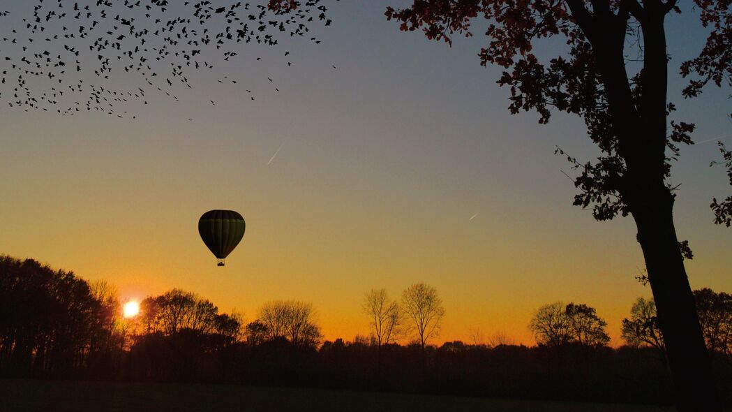 气球 浮空器 树 日落 树叶 地平线 4k壁纸 3840x2160