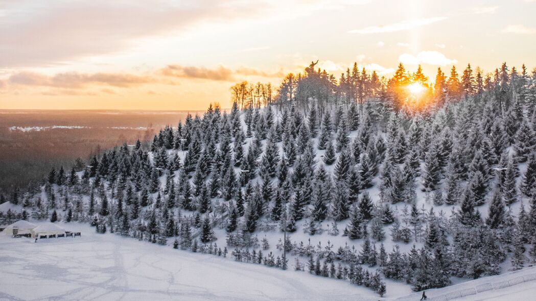 冬天 雪 顶部 树木 日落 4k壁纸 3840x2160