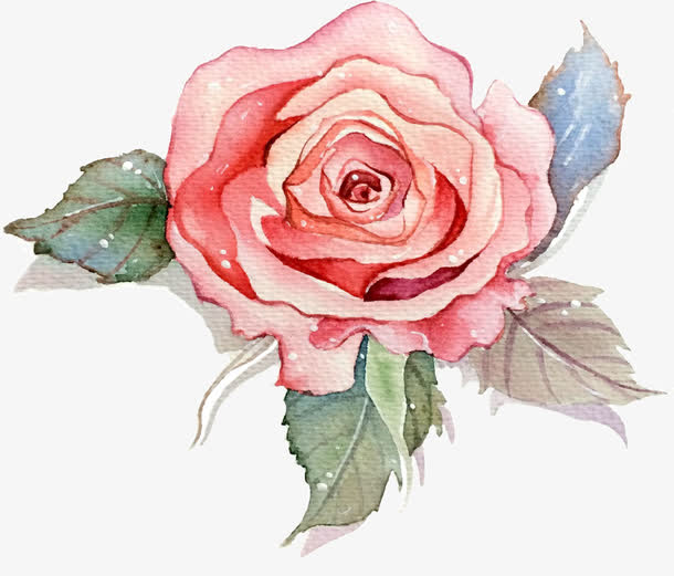 手绘水彩玫瑰素材