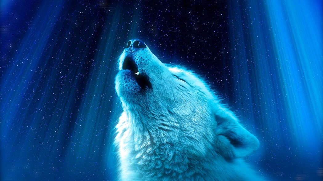 狼 捕食者 嚎叫 白色 蓝色 4k壁纸 3840x2160