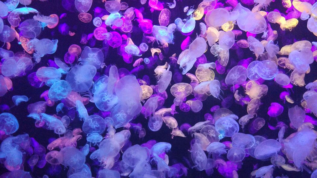 水母 海底世界 辉光 霓虹灯 磷 4k壁纸 3840x2160
