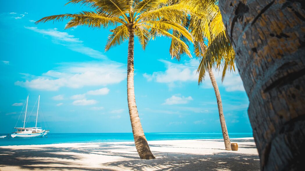 棕榈树 海滩 沙滩 热带 天堂 4k壁纸 3840x2160
