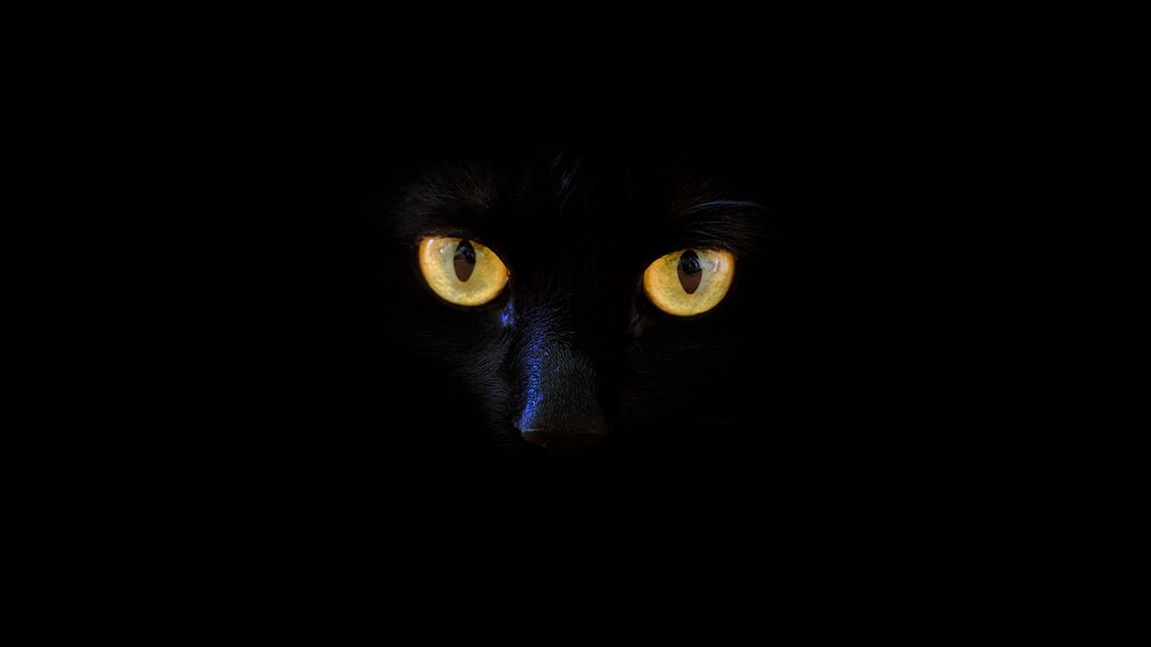 猫 黑猫 眼睛 深色 4k壁纸 3840x2160