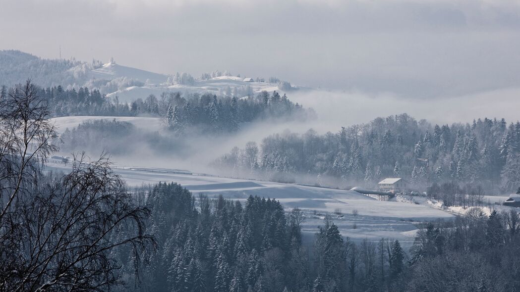 雾 冬天 树 冷杉 雪 瑞士 4k壁纸 3840x2160