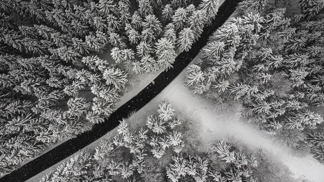 冬季雪景鸟瞰，树木雪道森林4K高清壁纸3840x2160下载