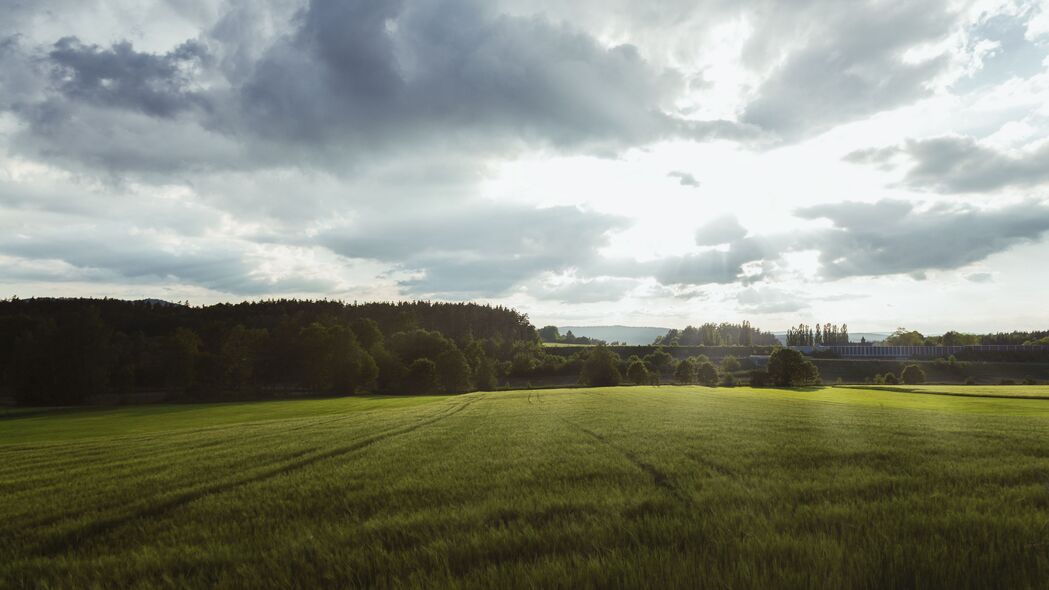 场 草 地平线 云 树 景观 沃尔夫斯堡 巴伐利亚 德国 4k壁纸 3840x2160