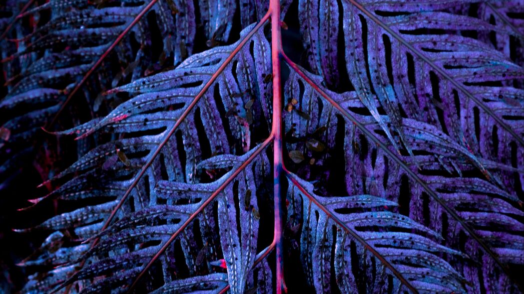 树叶 树枝 雕刻 紫色 4k壁纸 3840x2160