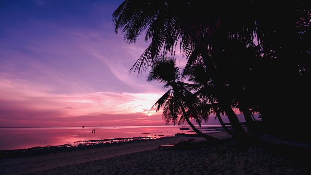 棕榈树 海滩 日落 热带 树枝 海岸 4k壁纸 3840x2160
