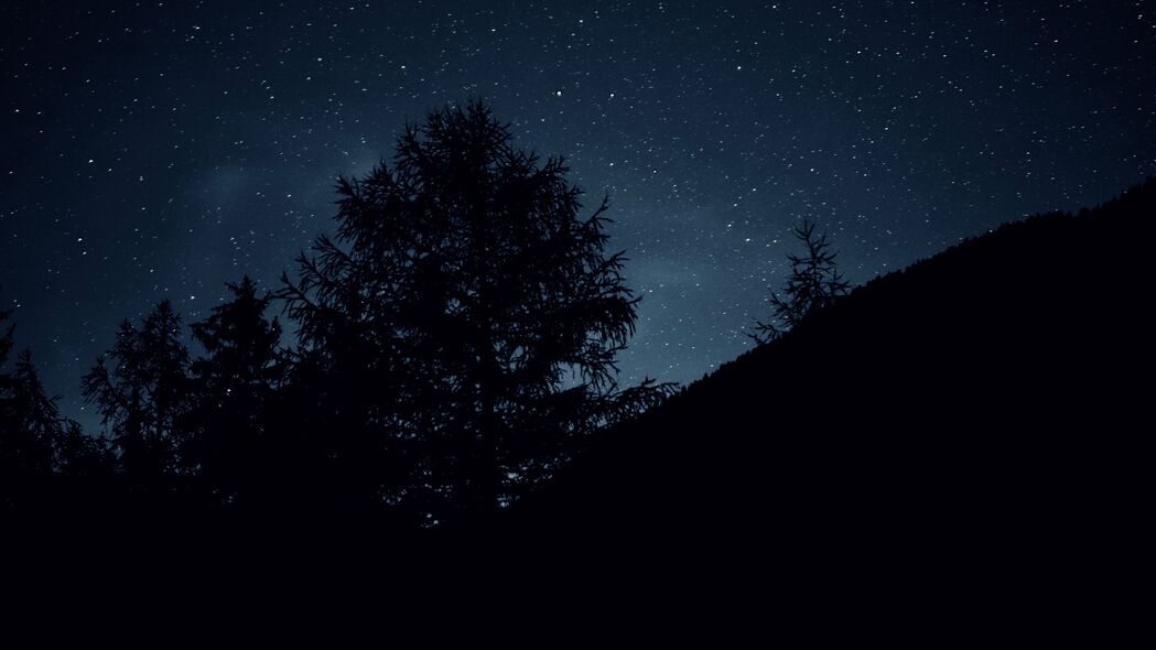 树木 夜晚 星星 天空 深色 4k壁纸 3840x2160