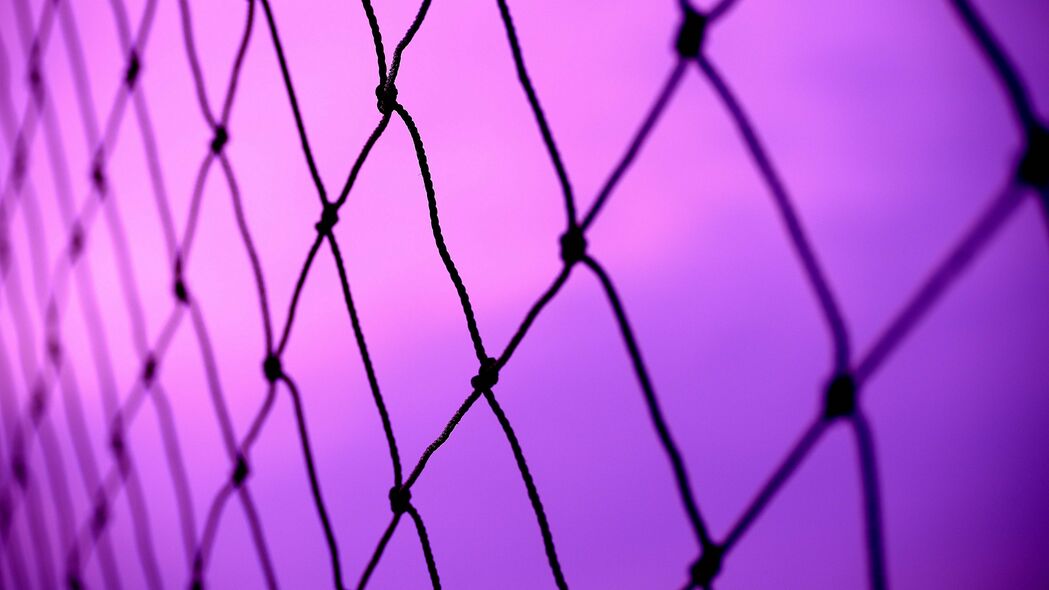 网格 天空 紫色 背景 柳条 4k壁纸 3840x2160