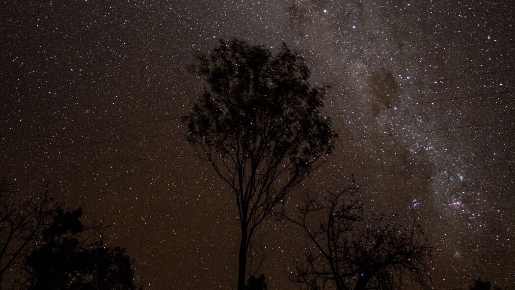 星空 夜晚 银河 树木 轮廓 星星 4k壁纸 3840x2160